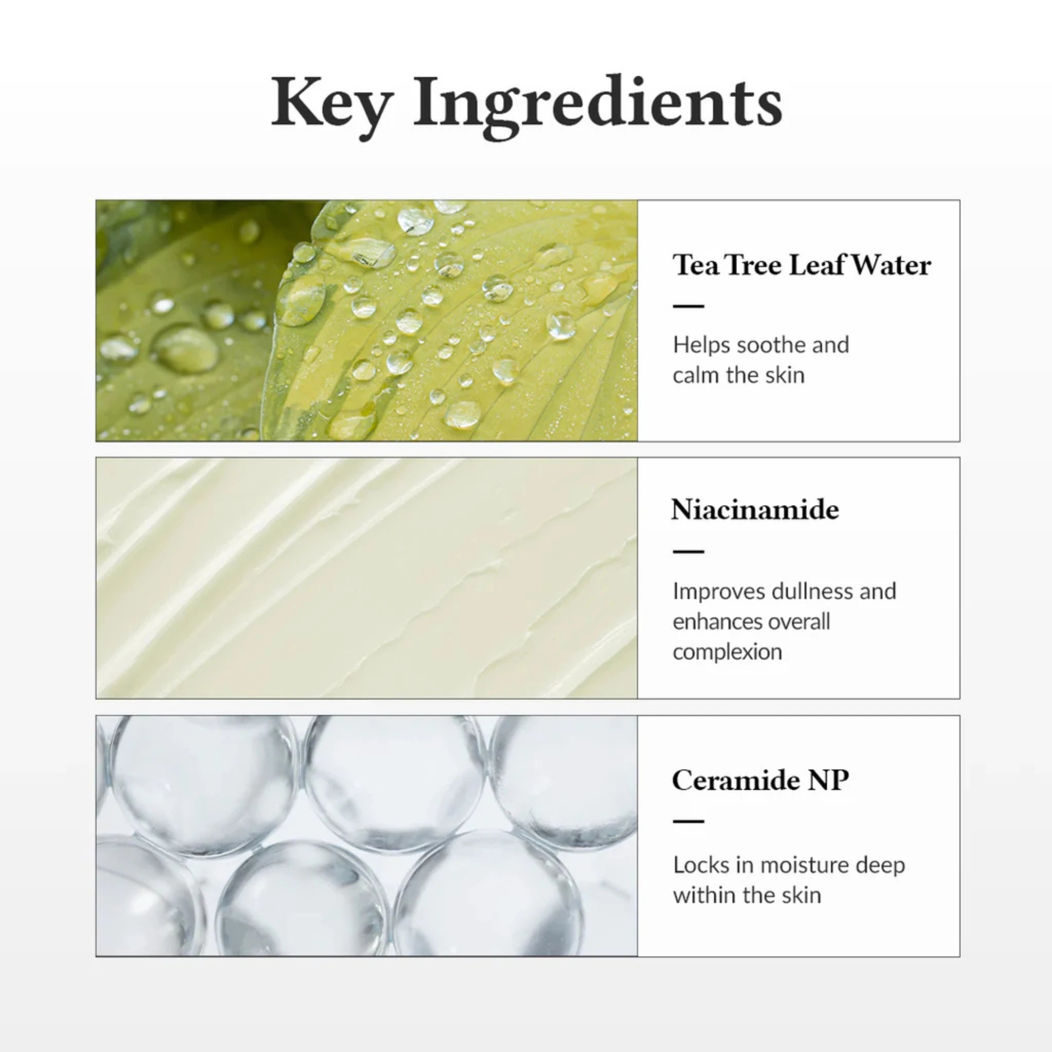 Best Sellers Essentials - Dr.Althea