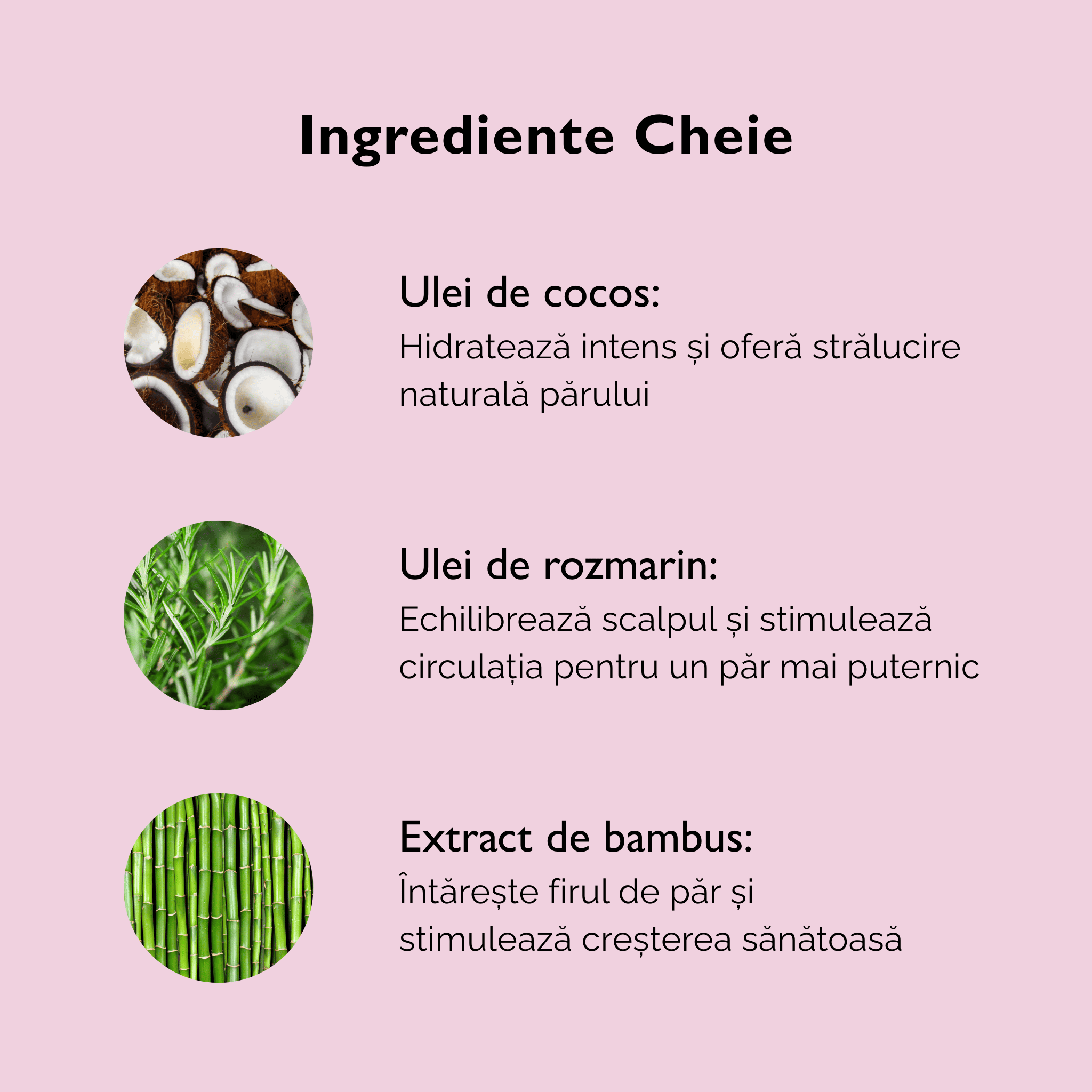 Set Îngrijire Păr – Curățare și Hidratare Naturală