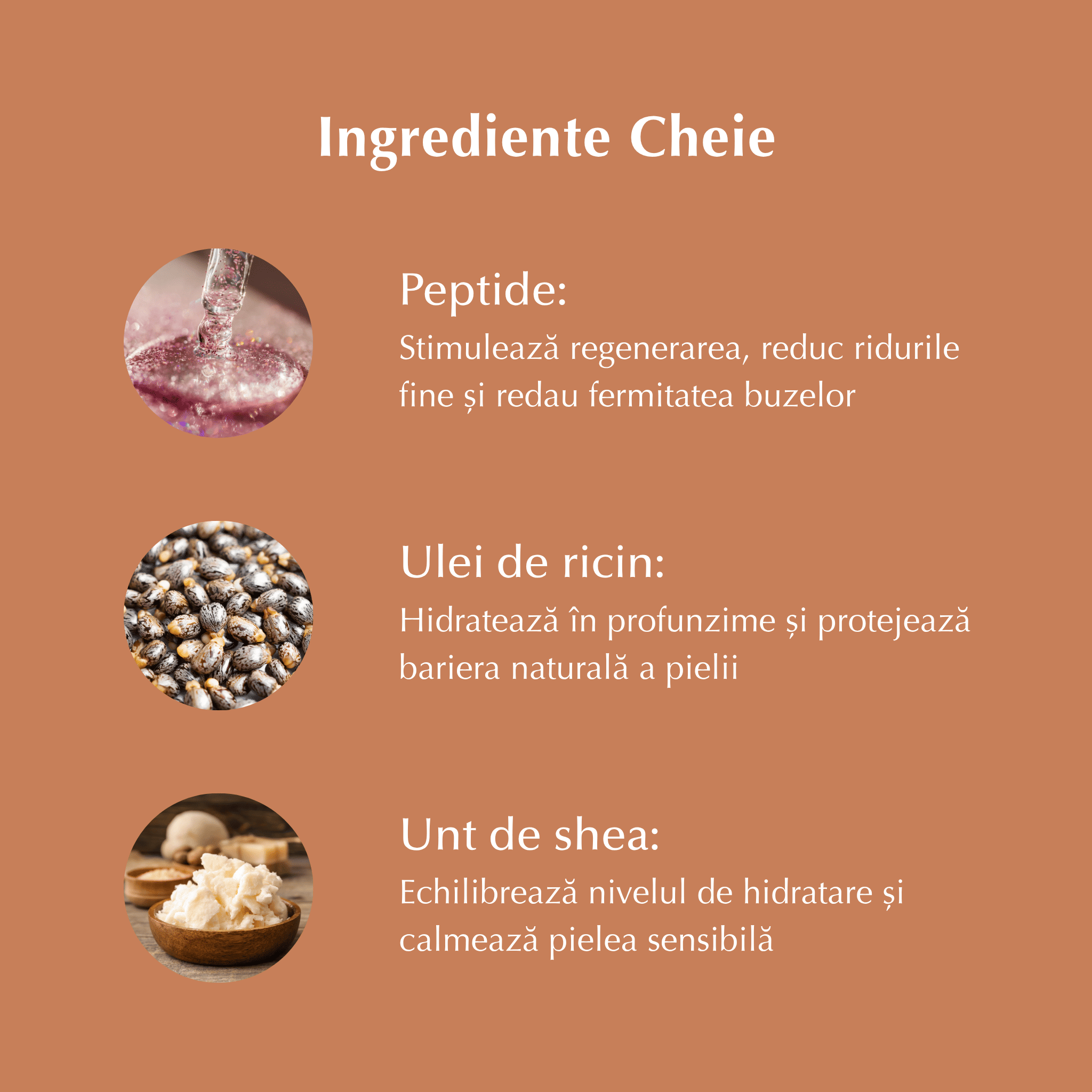 HEJ+ - Tratament pentru Buze cu Peptide, Unt de Shea și Ulei de Ricin
