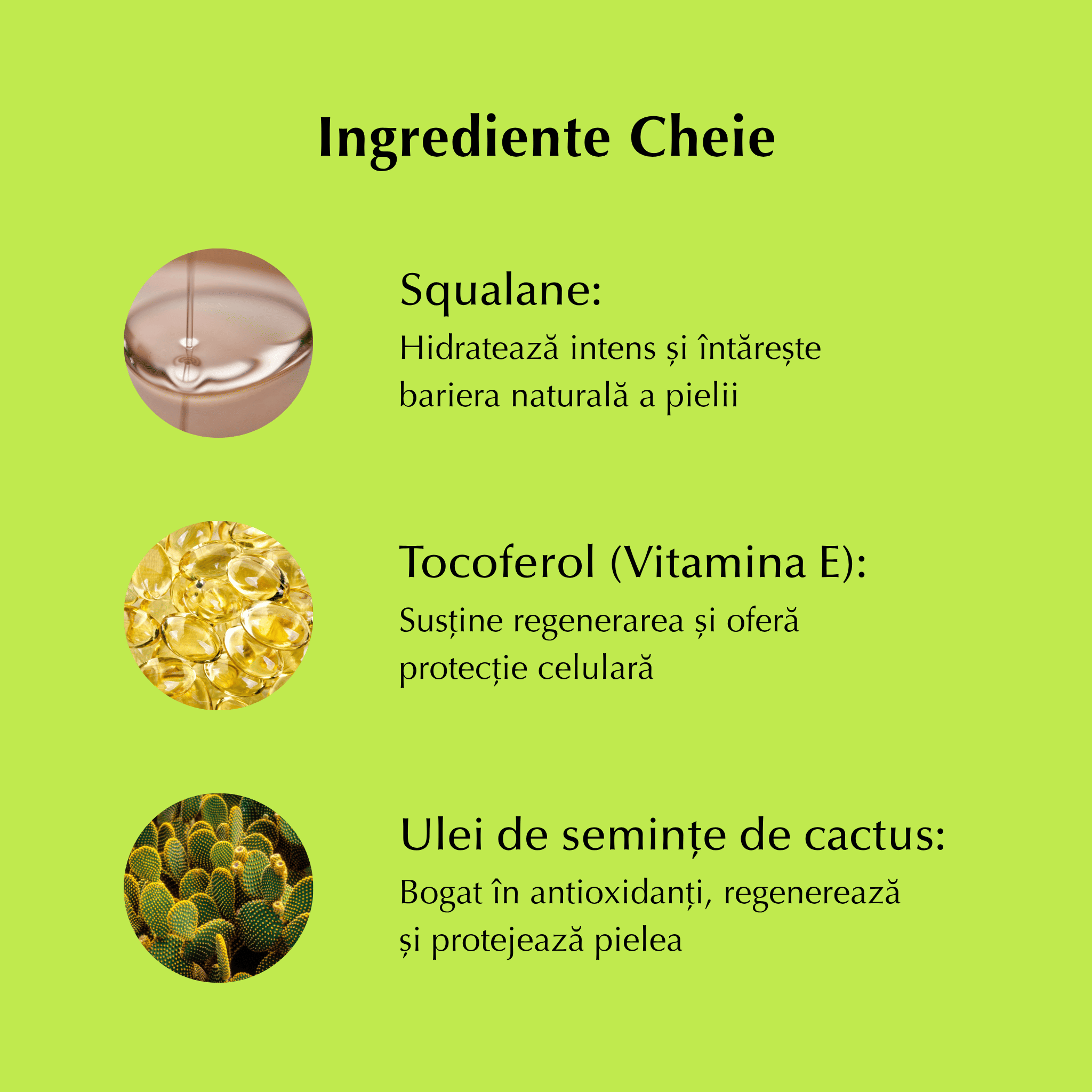 Set Curățare Dublă cu Cactus: Spumă de Curățare + Ulei Demaciant