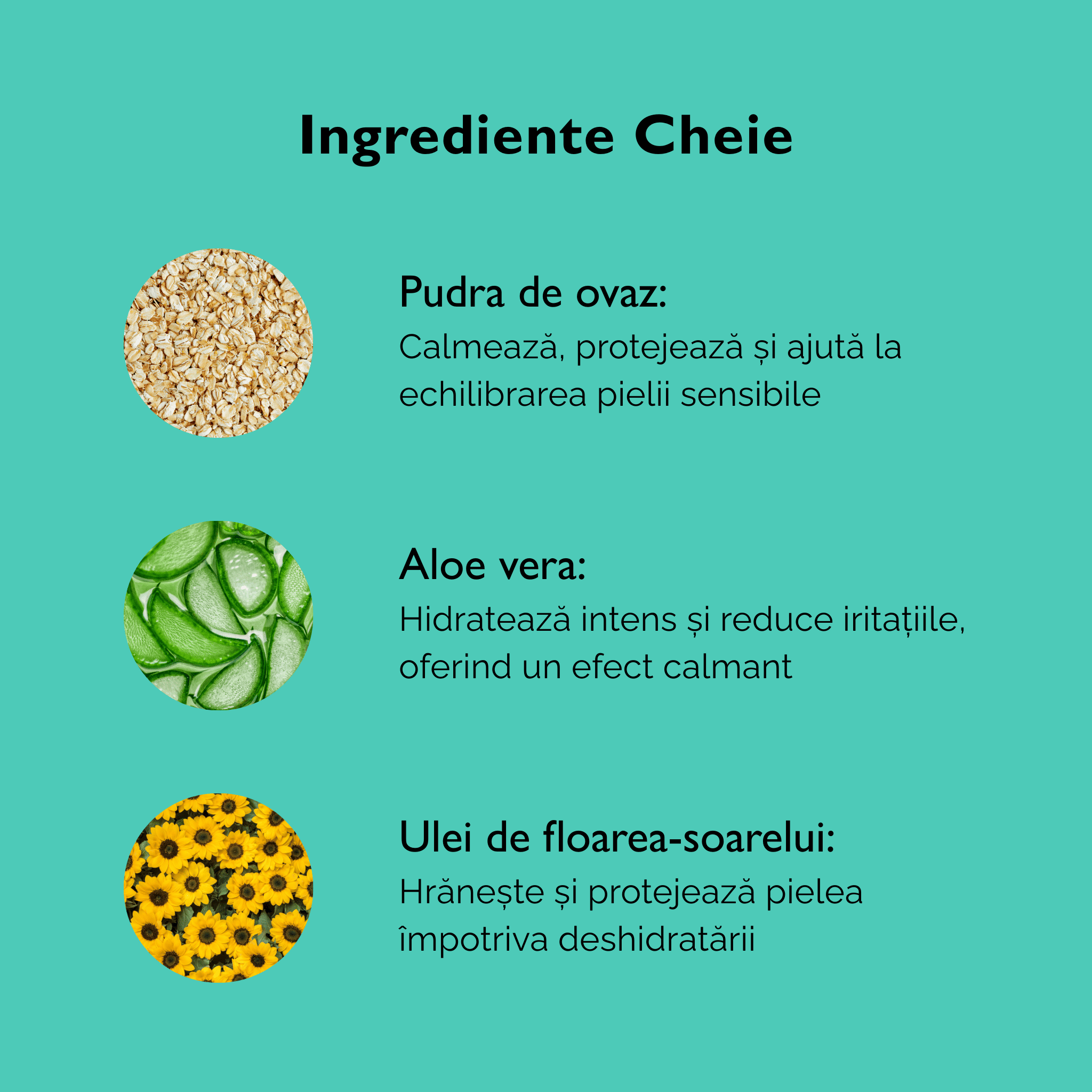 Lapte Demachiant cu Pudră de Ovăz și Aloe Vera