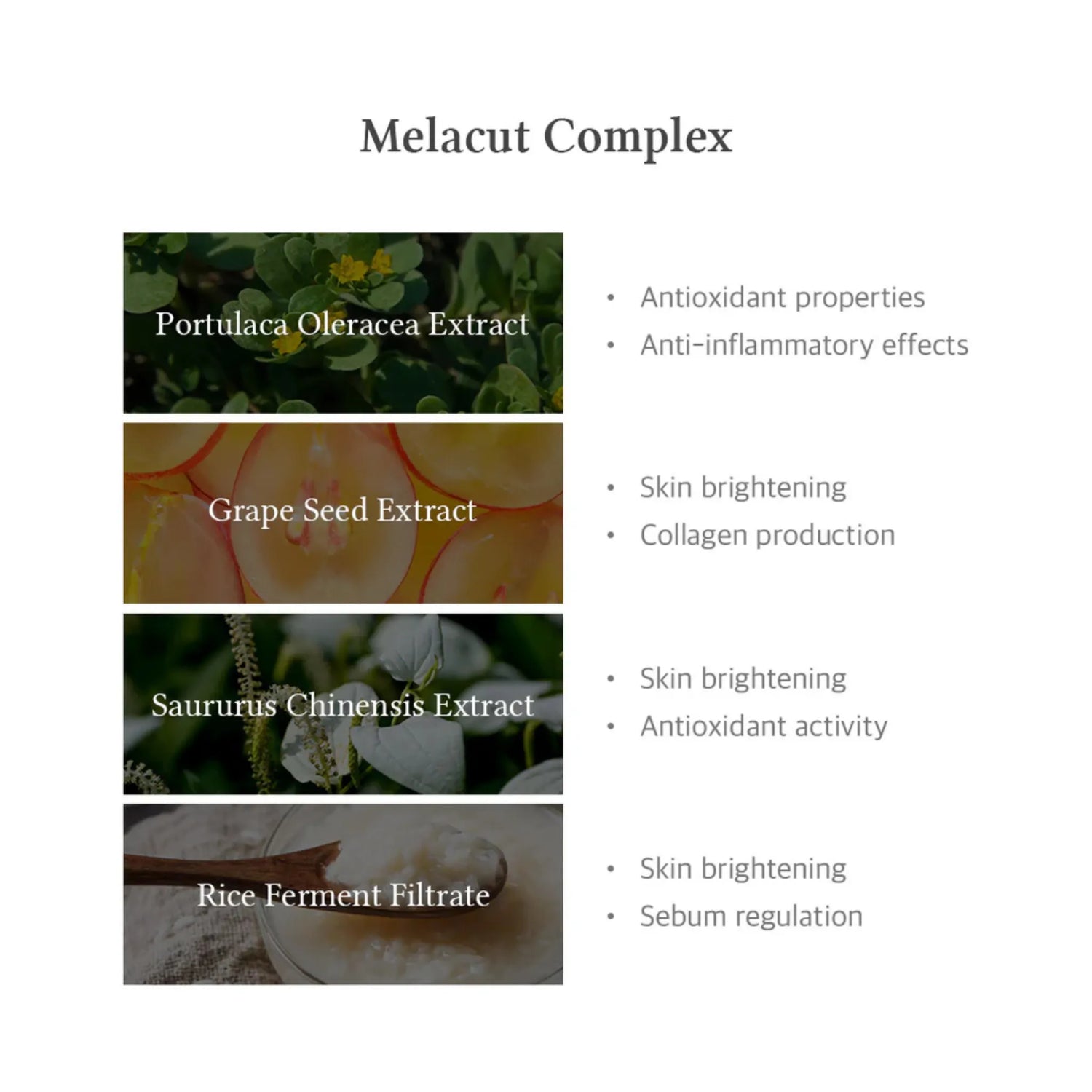 15% Niacinamide Purity Serum - Ser Purifiant cu 15% Niacinamidă