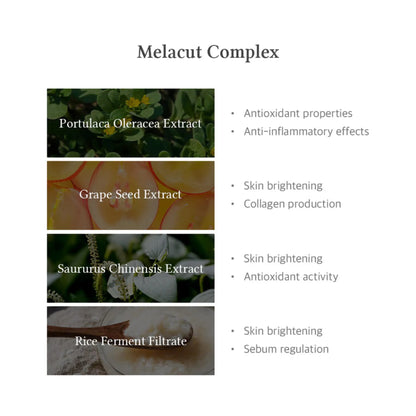 15% Niacinamide Purity Serum - Ser Purifiant cu 15% Niacinamidă