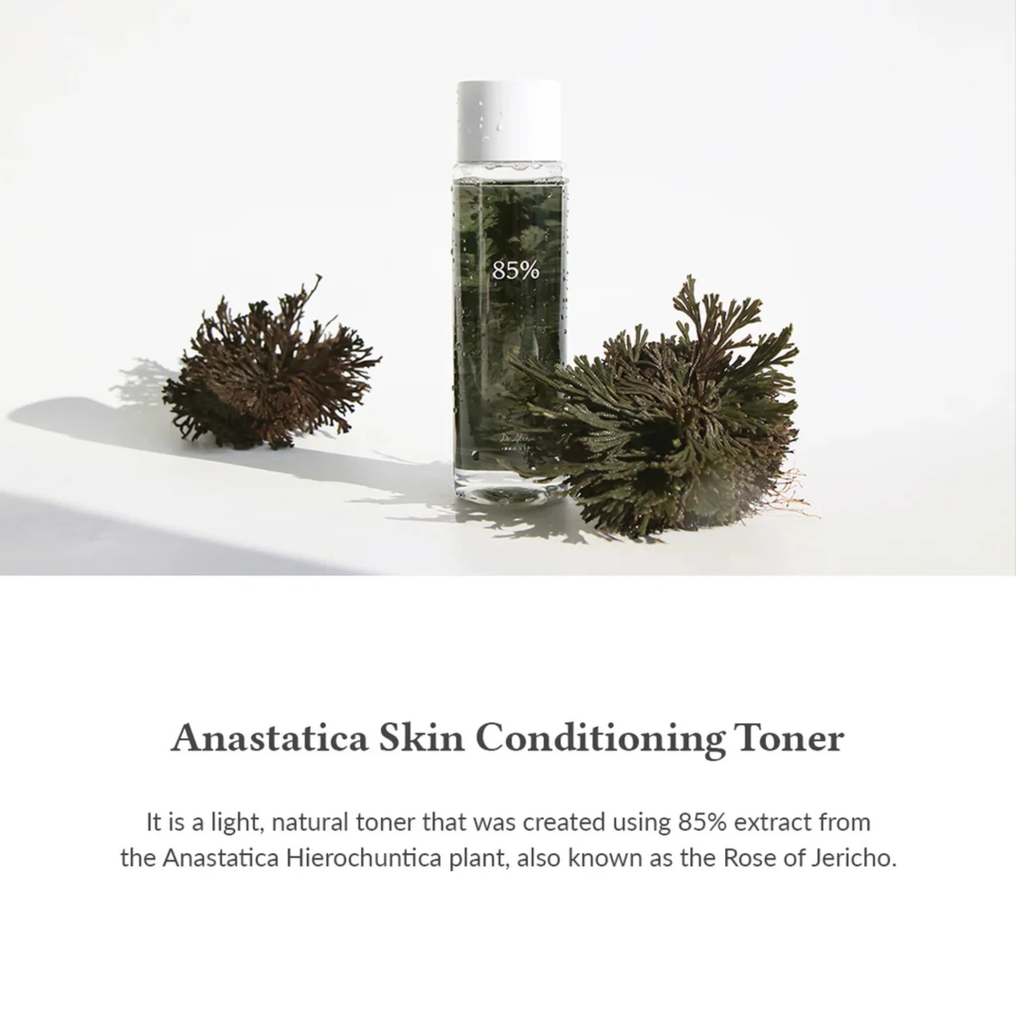 Anastatica Skin Conditioning Toner - Toner Hidratant cu Anastatica pentru Condiționarea Pielii