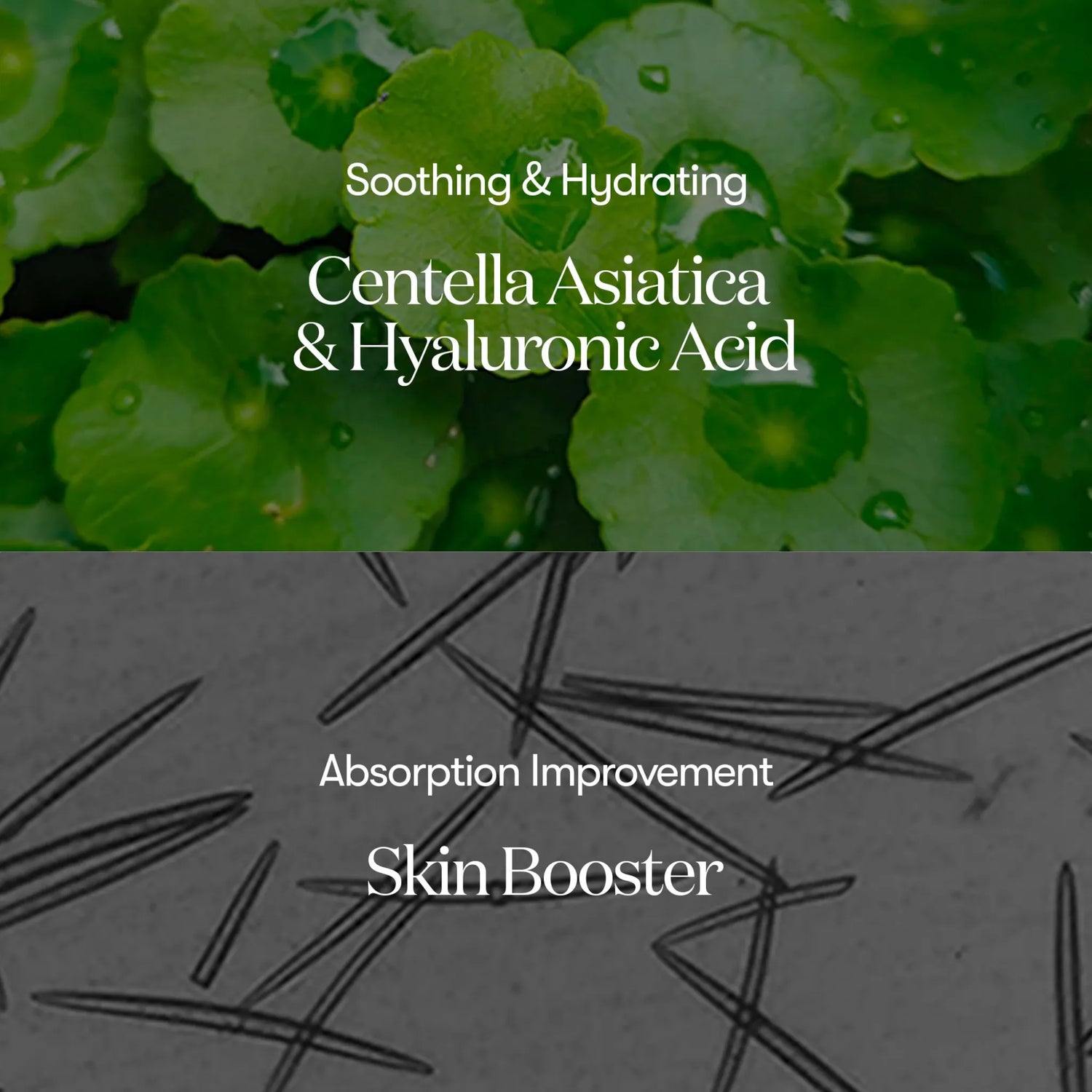 Reedle Shot 300 - Booster Exfoliant pentru Textură și Efect Glass Skin