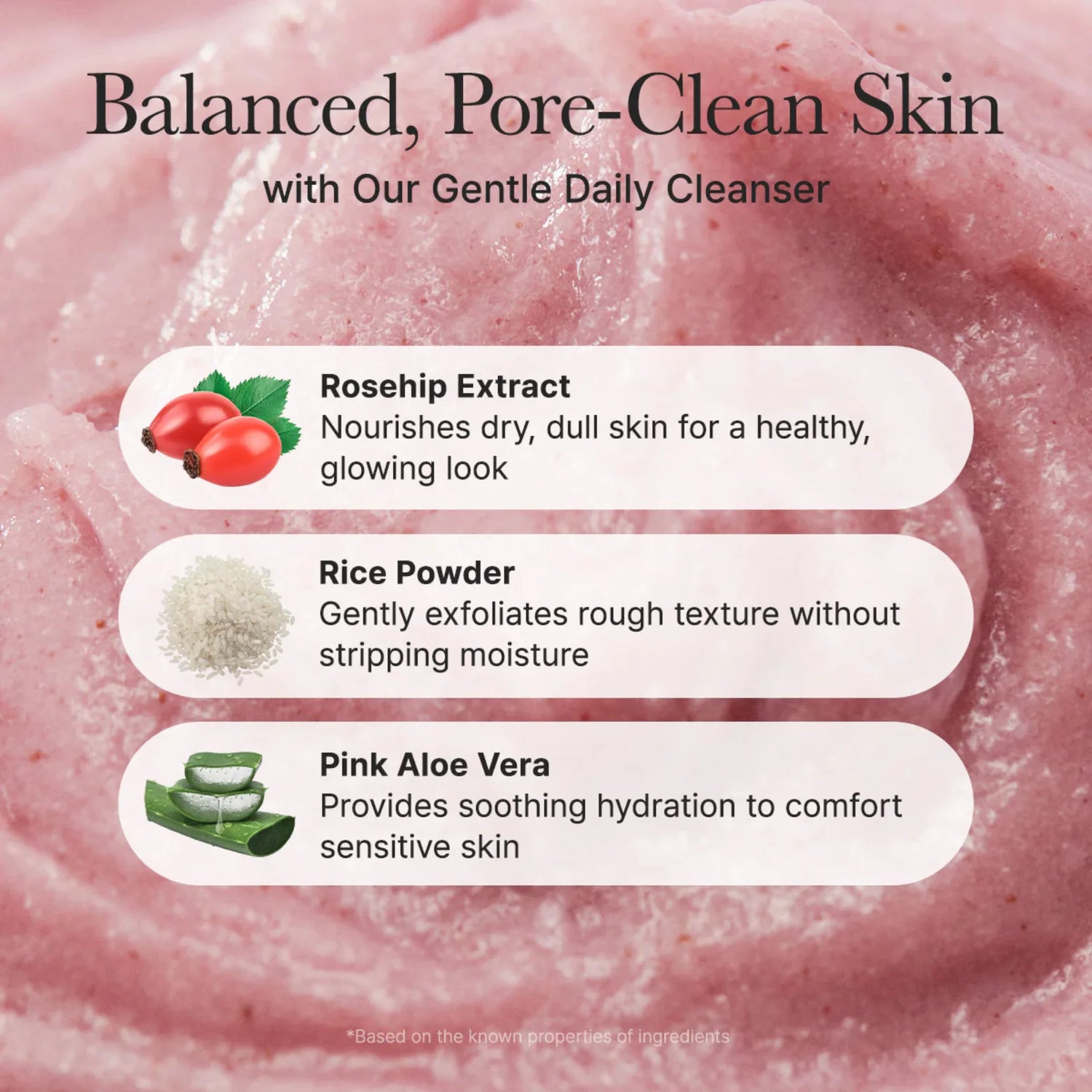 Fresh Rosehip Rice Mochi Cleanser - Gel de Curățare Iluminator cu Măceșe și Orez Tip Mochi