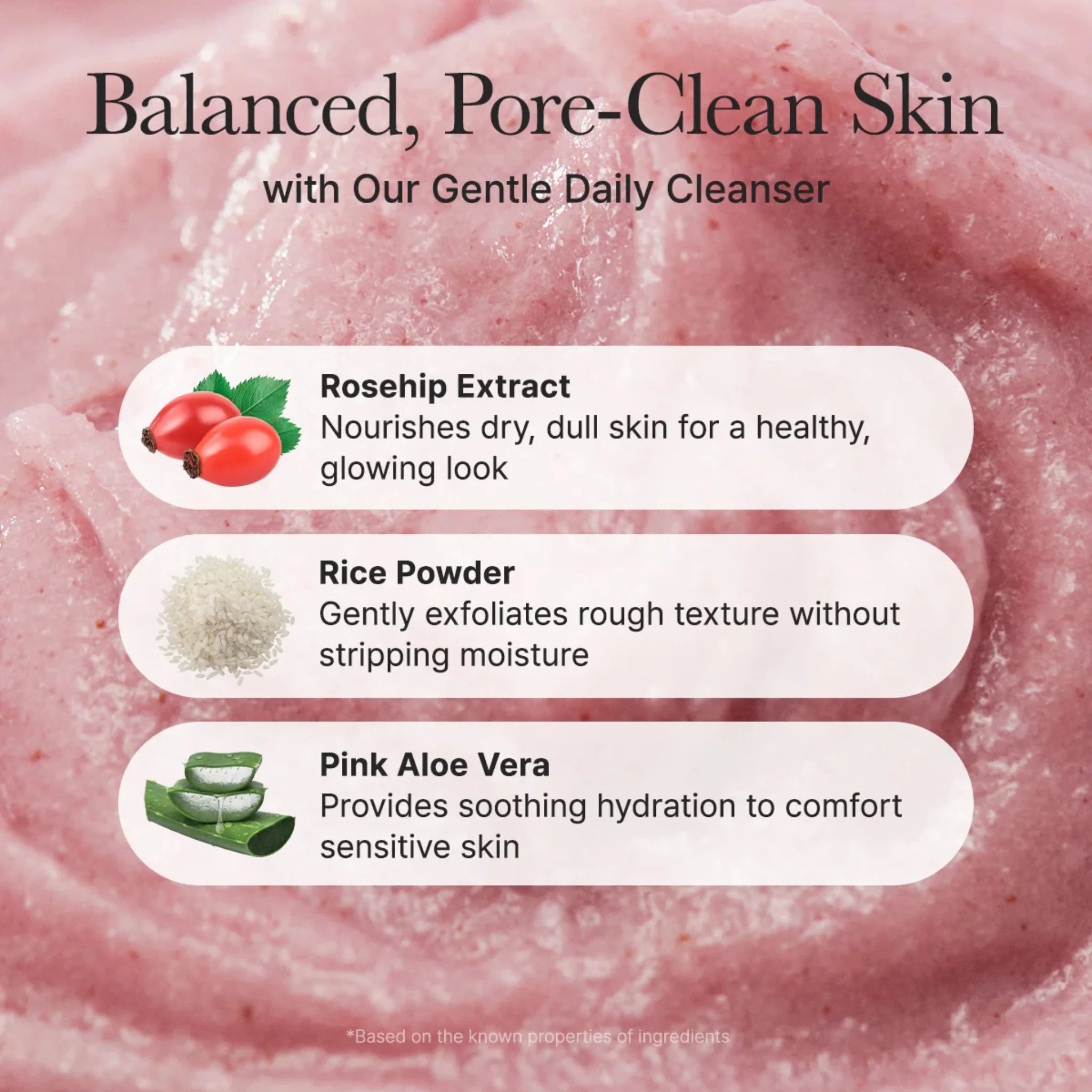 Fresh Rosehip Rice Mochi Cleanser - Gel de Curățare Iluminator cu Măceșe și Orez Tip Mochi