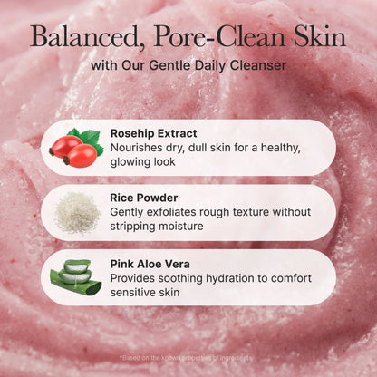 Fresh Rosehip Rice Mochi Cleanser - Gel de Curățare Iluminator cu Măceșe și Orez Tip Mochi