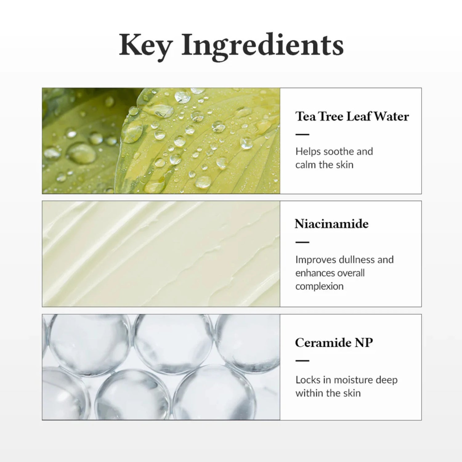 Best Sellers Essentials - Dr.Althea