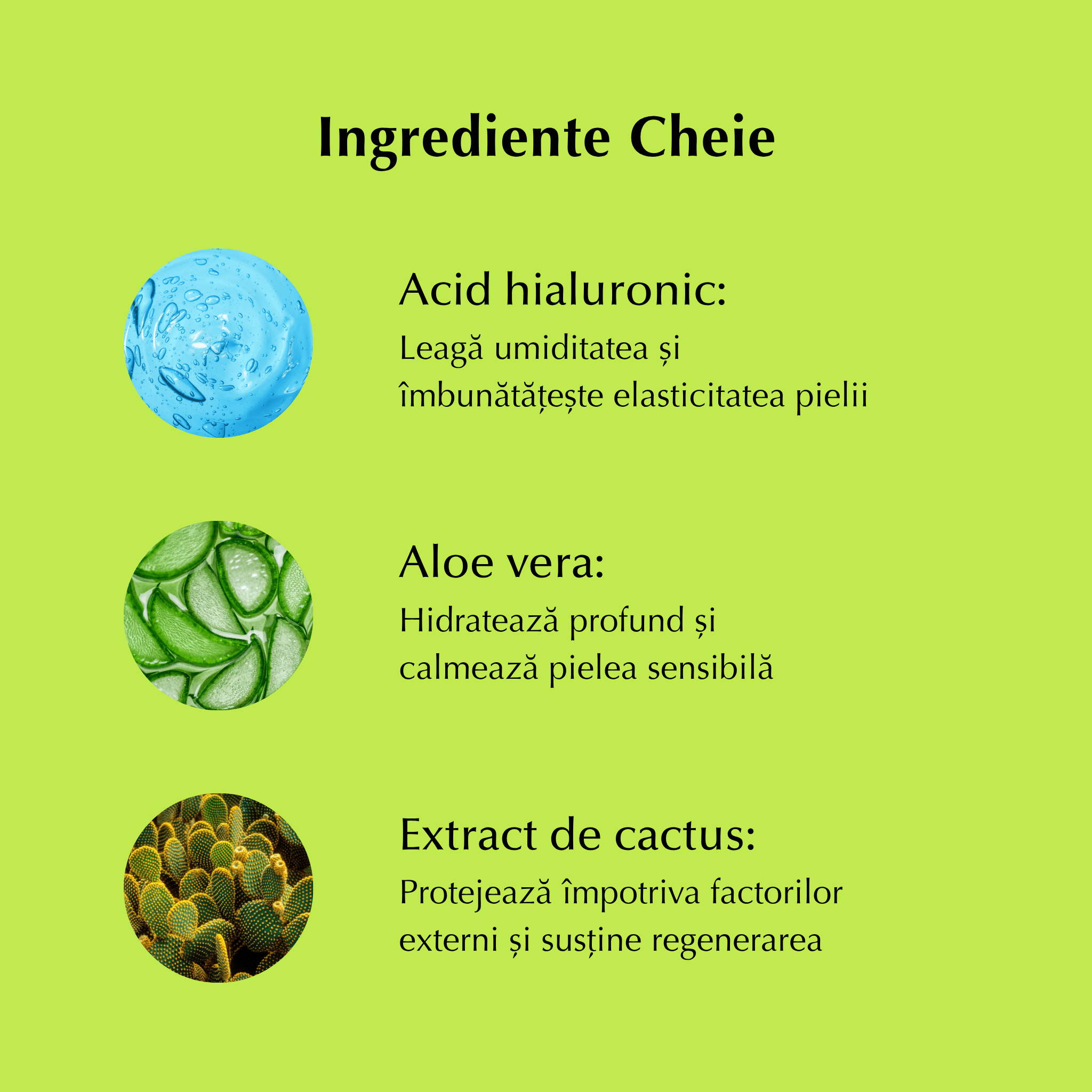 CACTUS - Cremă de Față 24h cu Cactus, Acid Hialuronic și Aloe Vera