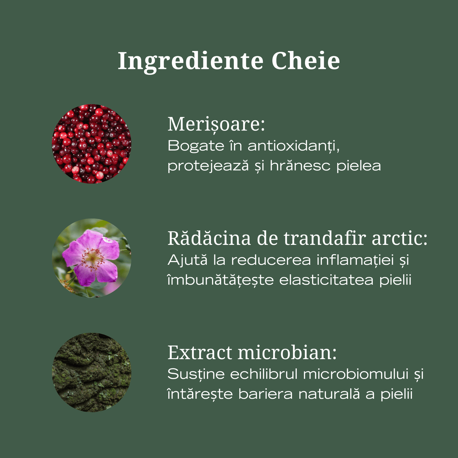 Mască Hidratantă și Calmanta pentru Echilibrul Microbiomului