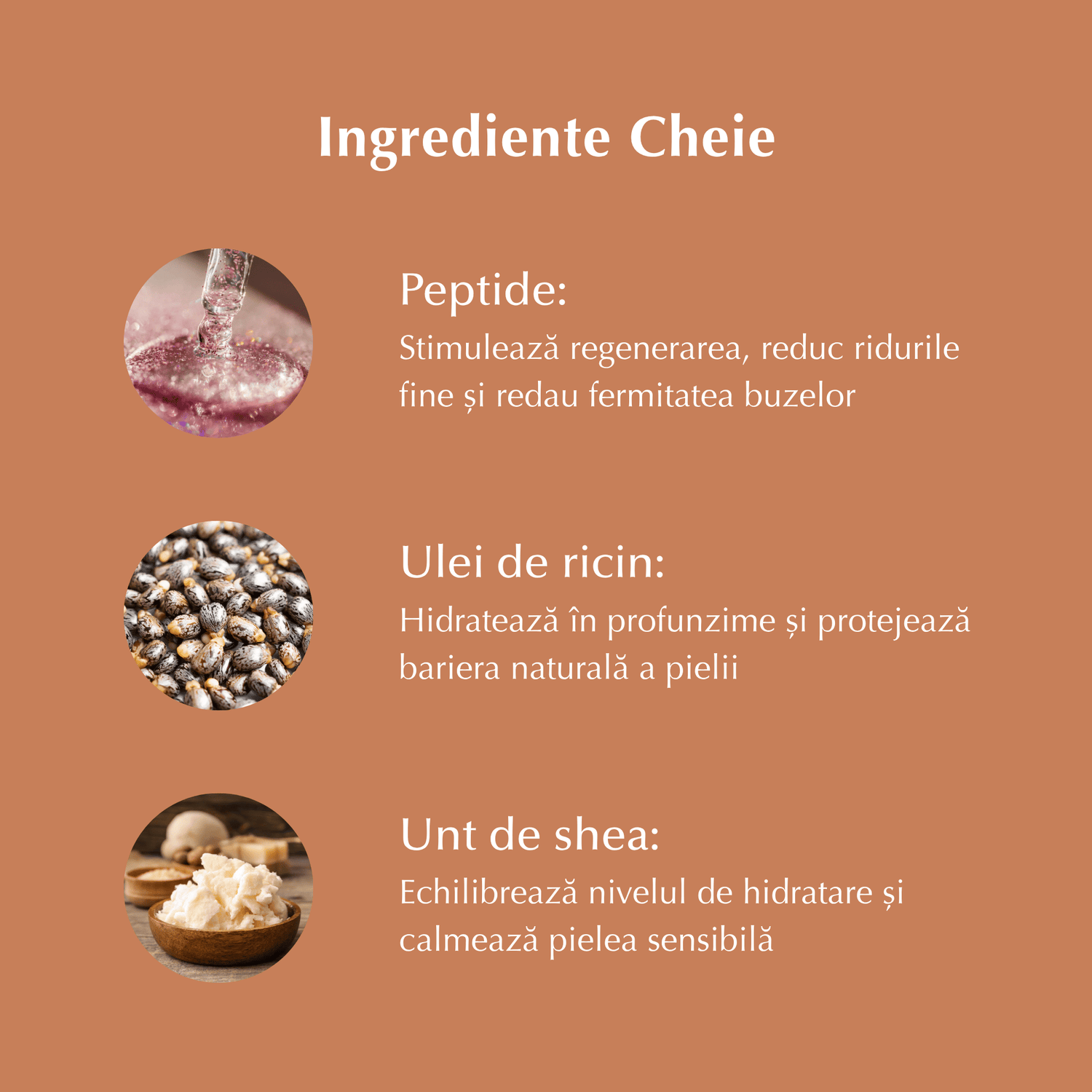 HEJ+ - Tratament pentru Buze cu Peptide, Unt de Shea și Ulei de Ricin