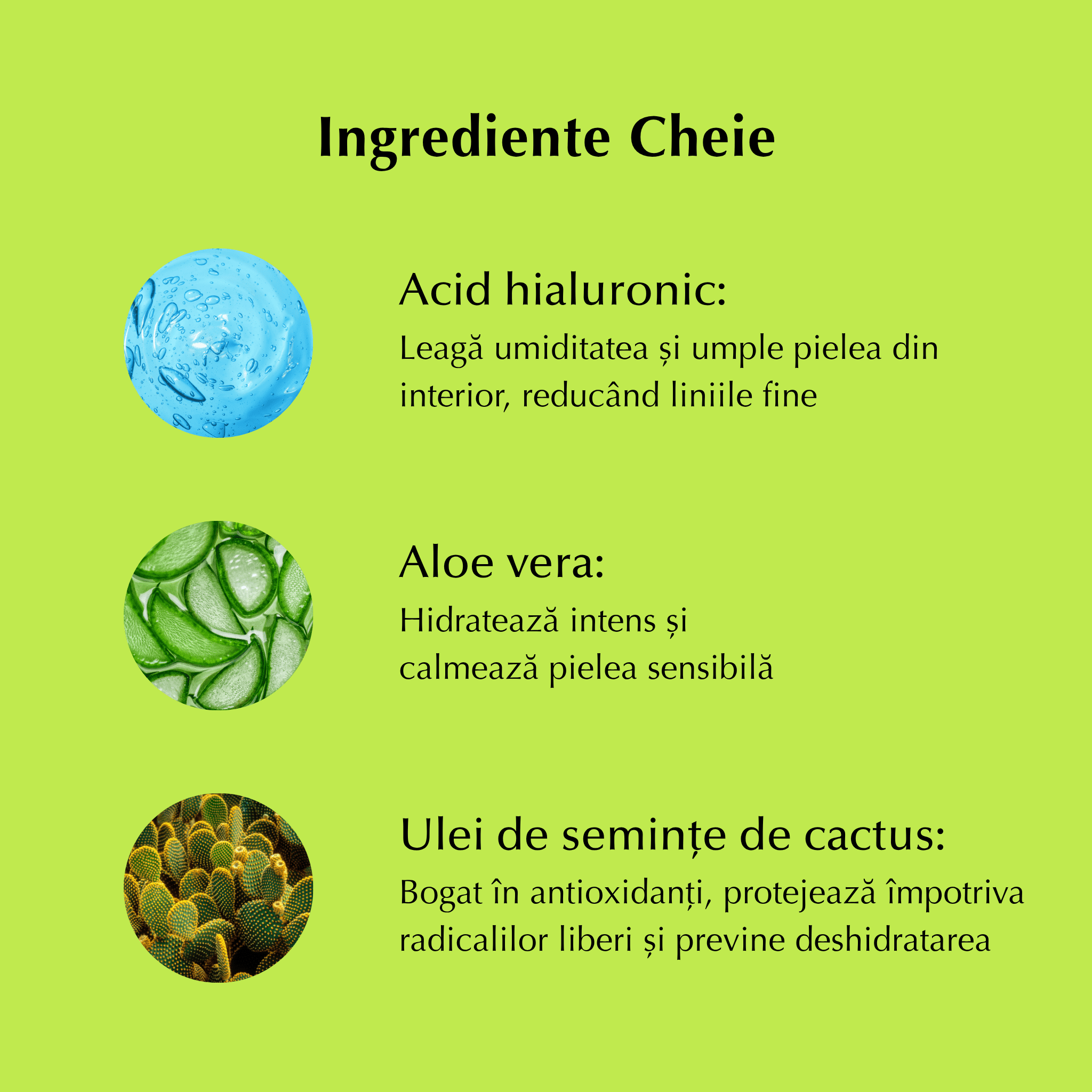 CACTUS - Ser Hidratant cu Acid Hialuronic, Aloe Vera și Cactus